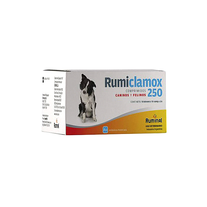 2. Rumiclamox 250